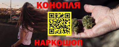 гидропоника Дубна