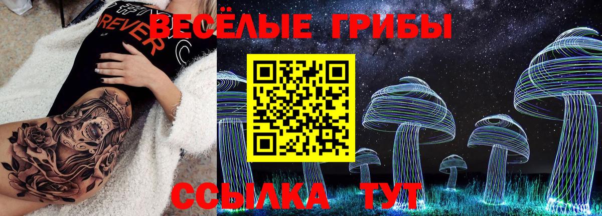 Псилоцибиновые грибы Psilocybine cubensis Минусинск
